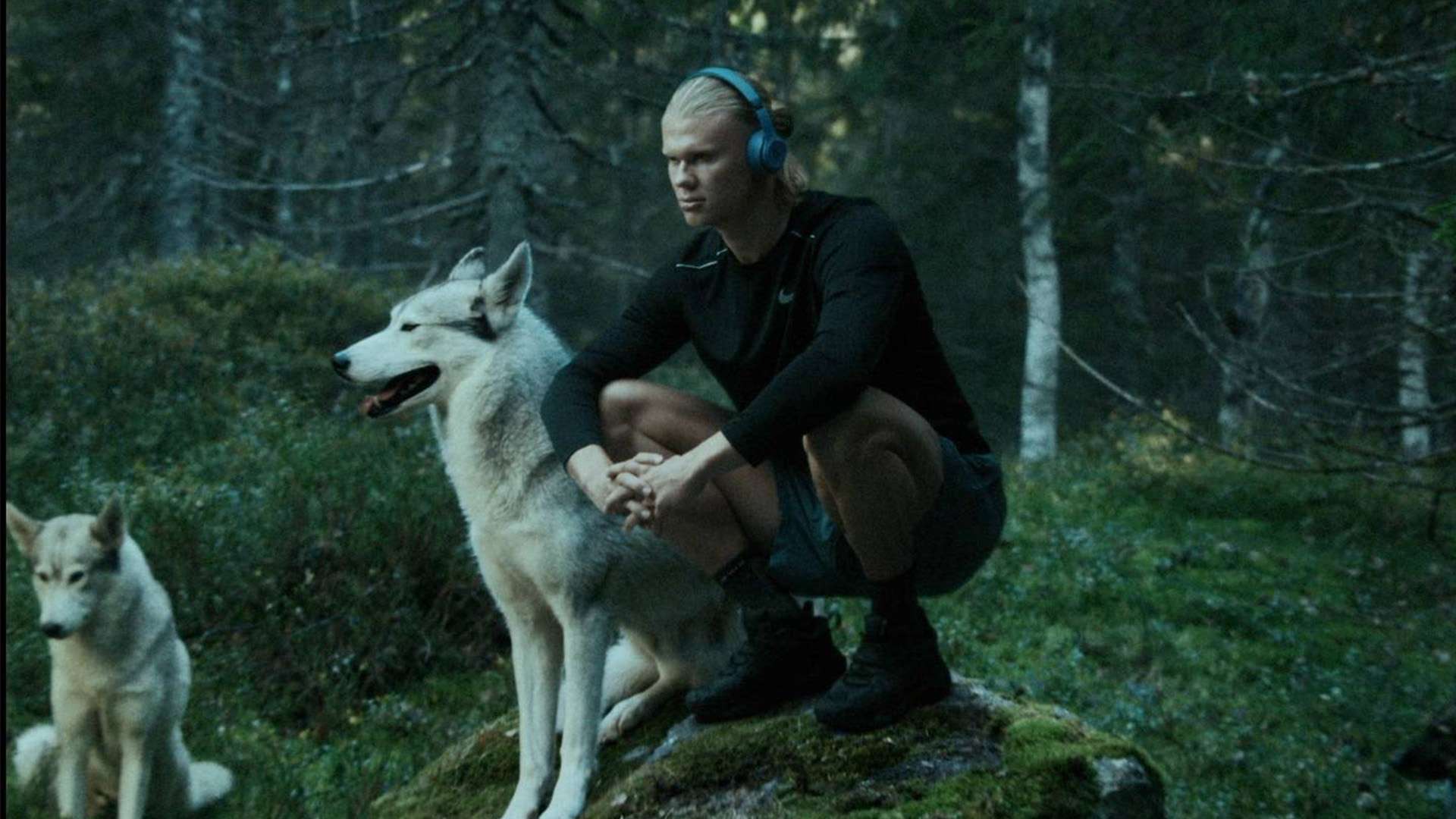 杰伦·格林复出狂砍29分，太阳新双枪合体爆砍53分！